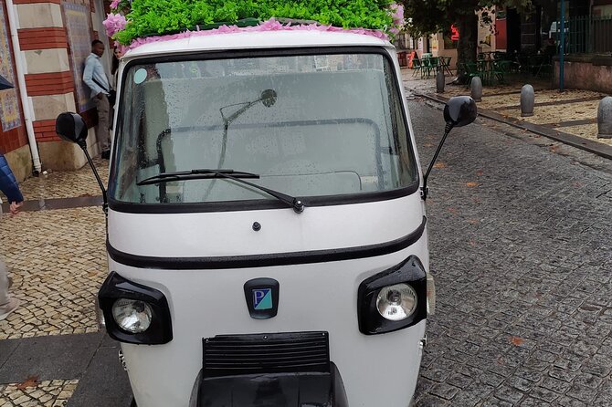 Tuk Tuk Transfer With Sintra Pena Ticket From Meeting Point - Stop 1: Pena Palace park and the National Palace visit