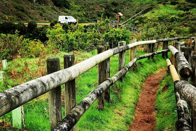 Underground Van Tour (Half Day) | Terceira Island - Price and value: $60.49 plus the 15€ cave ticket