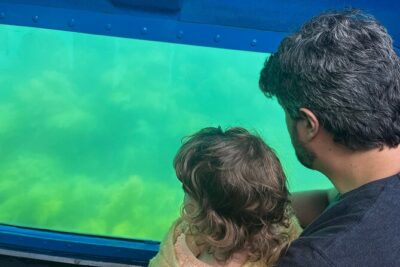 Underwater viewing tours along the coast of Sesimbra - Price and value: is $34.75 worth it?