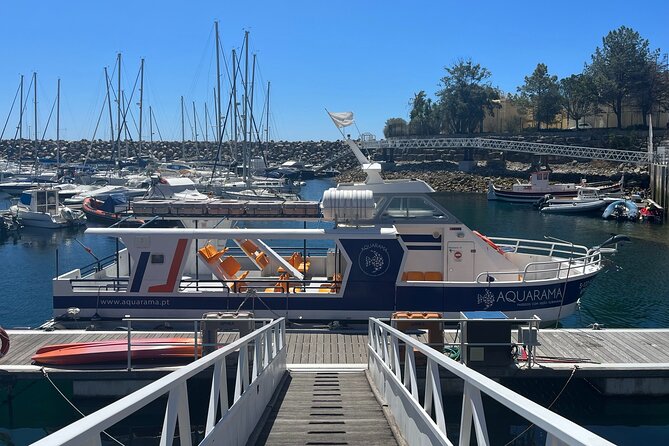 Underwater viewing tours along the coast of Sesimbra - Crew, safety, and the small comfort wins