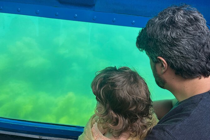 Underwater viewing tours along the coast of Sesimbra - Price and value: is $34.75 worth it?