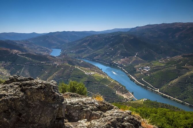 VALE DOURO, Premium Wine Tour, Wine Lunch, Private Boat - Key Highlights You’ll Actually Care About