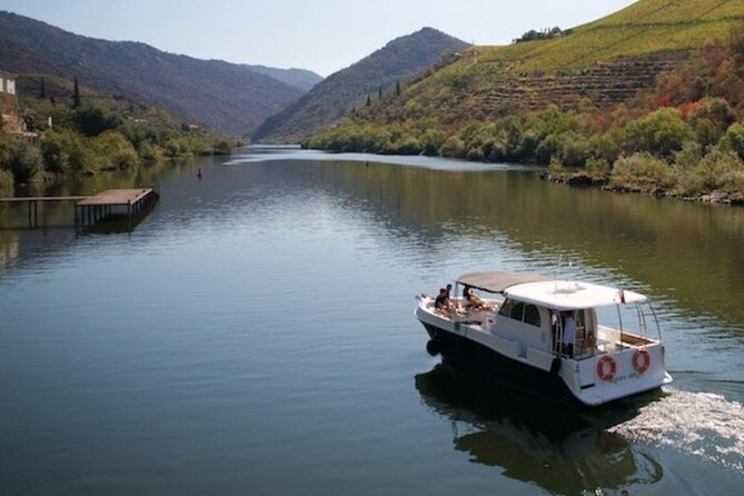 VALE DOURO, Premium Wine Tour, Wine Lunch, Private Boat - A Douro Day Trip That Feels Small-Group Personal
