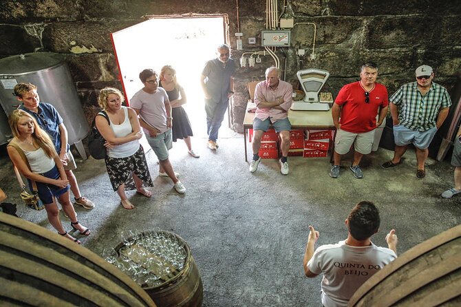 VALE DOURO, Premium Wine Tour, Wine Lunch, Private Boat - Photo Stops and the Drive Back to Porto