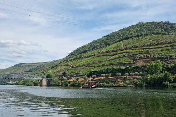 VALE DOURO, Premium Wine Tour, Wine Lunch, Private Boat - Price and Value: Why $163 Can Work for the Right Person