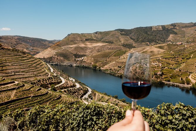 Valley of the Douro and Amarante Wine Gastronomy and Boat Tour - Quinta de São Luís: port tasting with context