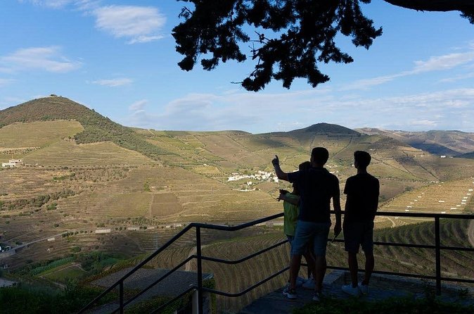 Valley of the Douro and Amarante Wine Gastronomy and Boat Tour - The Douro boat tour: Pinhão departure and a small-group feel