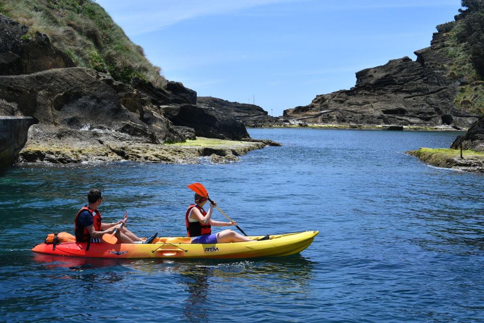 Vila Franca do Campo: Kayak Rental - Pick the right kayak: solo, double, or the kid-friendly quadruple