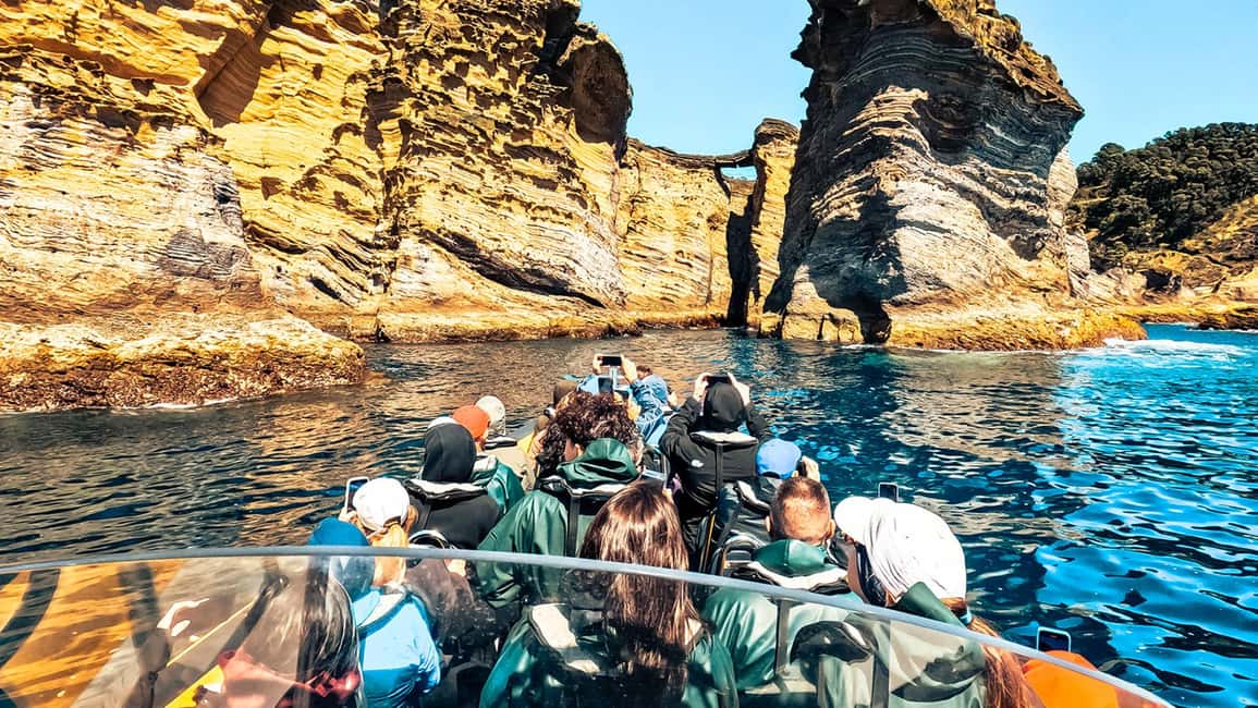 Vila Franca Islet: Bioligist Guided 0% Carbon e-Boat Tour - Key highlights to watch for