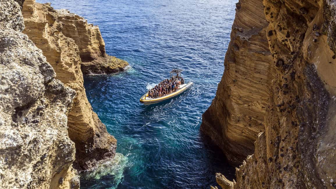 Vila Franca Islet: Bioligist Guided 0% Carbon e-Boat Tour - Price and value: is $29 USD a smart use of your time?
