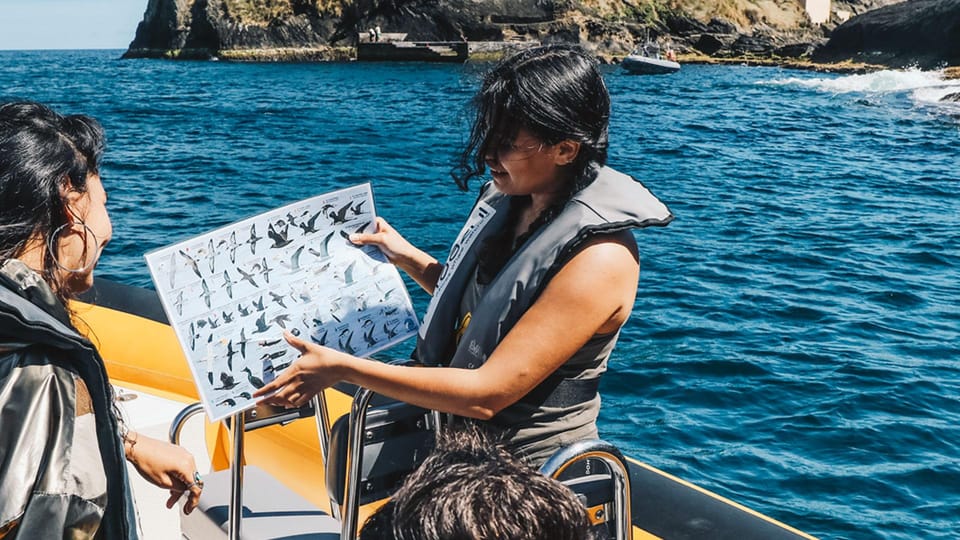 Vila Franca Islet: Bioligist Guided 0% Carbon e-Boat Tour - Who should book (and who should skip it)