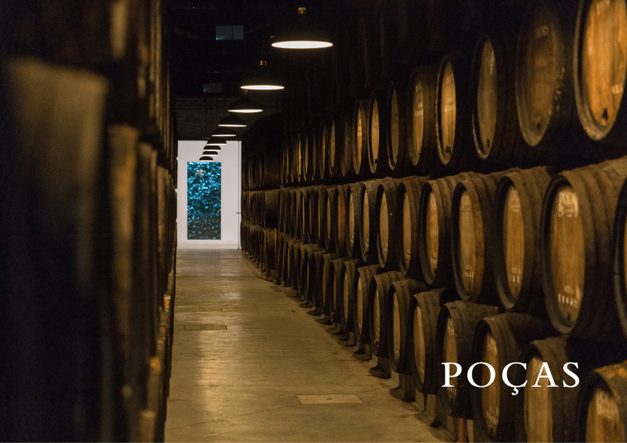 Vila Nova de Gaia: Winery Tour with 2 DOC Douro & 1 Port - DOC Douro at your pace: Trava Línguas and Reserve Red