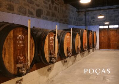 Vila Nova de Gaia: Winery Tour with 2 DOC Douro & 1 Port - The 90-minute format that keeps tasting focused