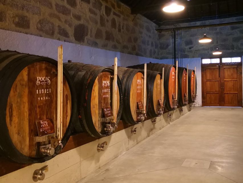 Vila Nova de Gaia: Winery Tour with 2 DOC Douro & 1 Port - Who this tour suits best