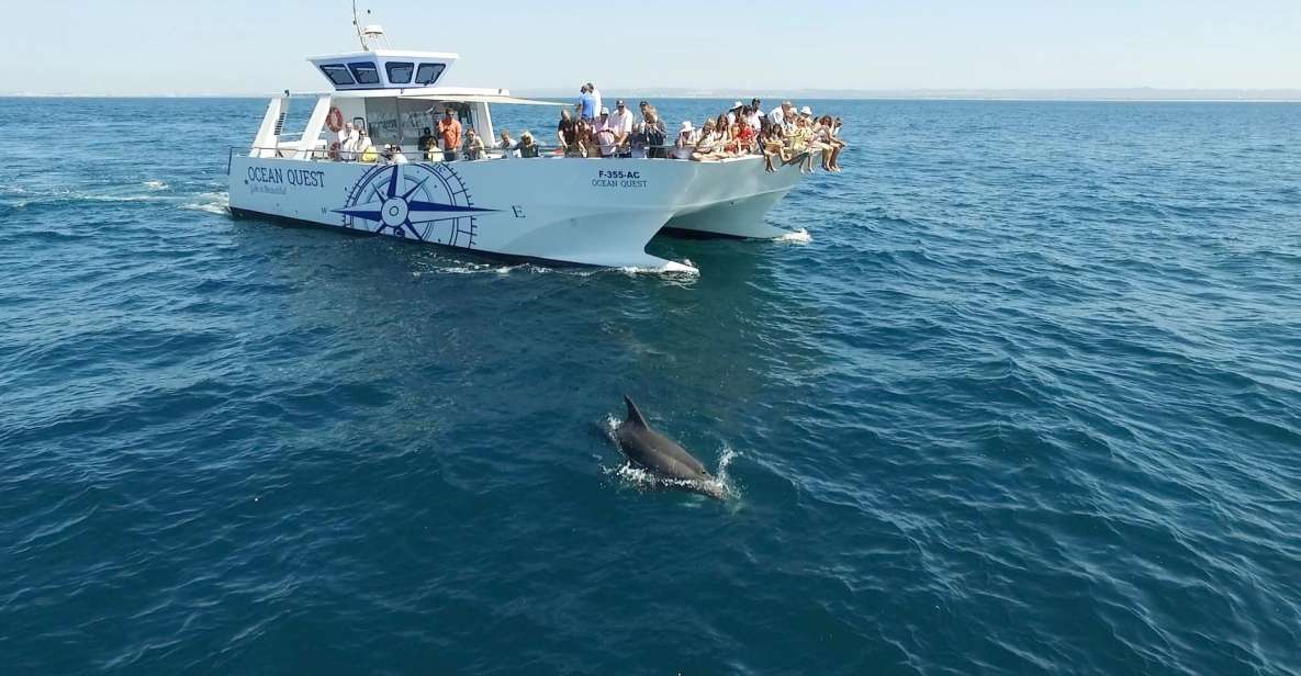 Vilamoura: Boat Tour Dolphin Quest & Marine Life Search - Dolphin Quest in Vilamoura: What Makes This Cruise Worth Your Time
