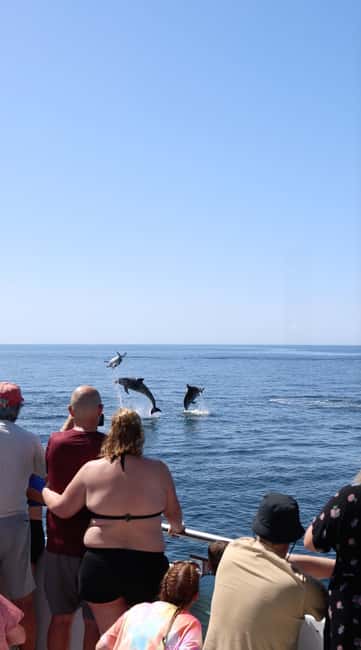 Vilamoura: Boat Tour Dolphin Quest & Marine Life Search - The Catamaran Experience: Comfort, Deck Space, and Family-Friendly Features
