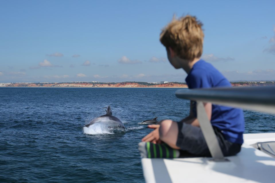 Vilamoura: Boat Tour Dolphin Quest & Marine Life Search - The Dolphin Search Along the Algarvian Coast: How You Get Your Best Chances
