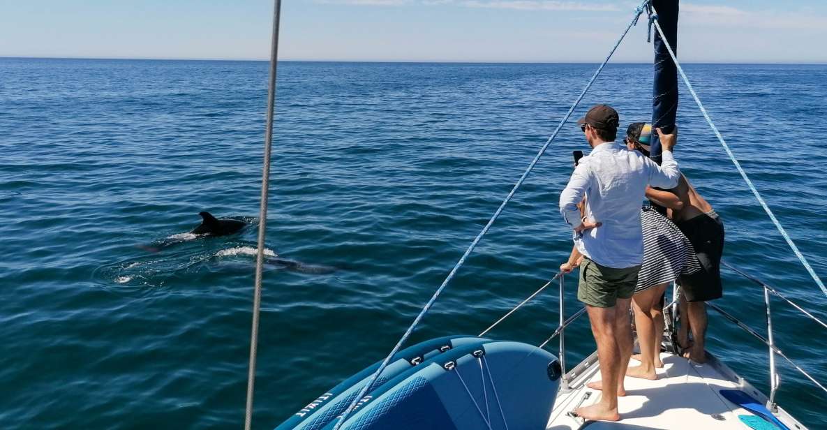 Vilamoura: Coastal Cruise on a Luxury Sailing Yacht - Why this Vilamoura–Albufeira cruise feels like better Algarve value