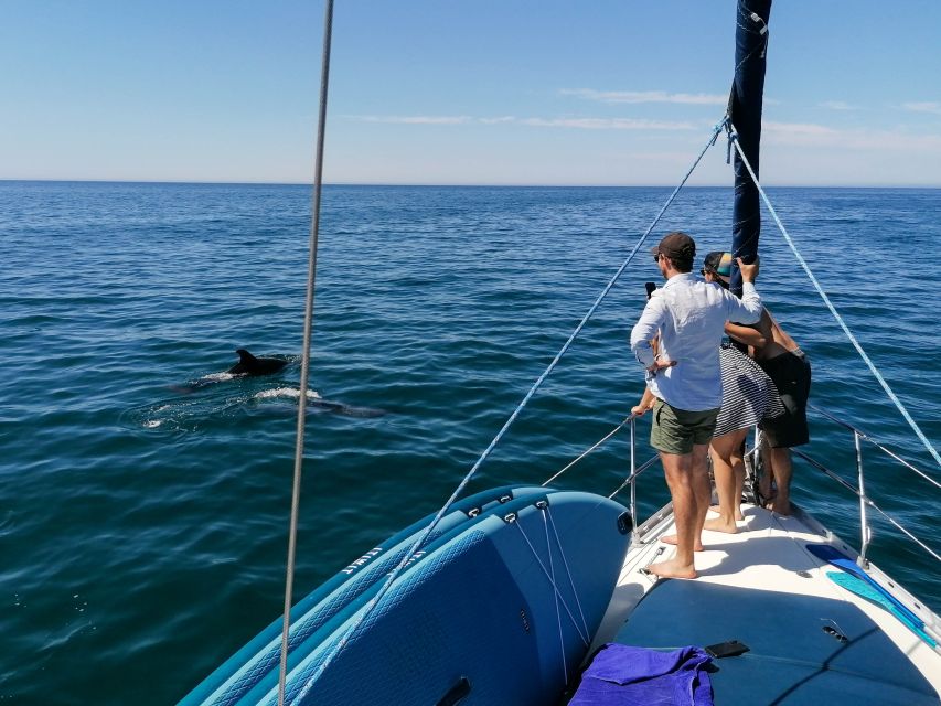 Vilamoura: Coastal Cruise on a Luxury Sailing Yacht - The Falésia clay formations moment (and how to take it in)