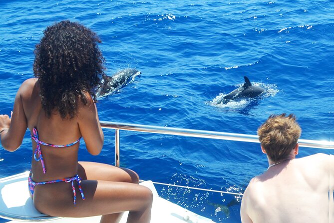 VipDolphins Luxury Whale Watching - The whale-and-dolphin search: expect pilot whales and quick spotting help