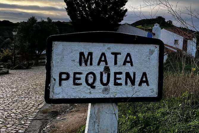 Visit to Queluz Palace and Mafra Convent - Private Tour - Stop 4: Ericeira (Sea Town Energy and the Best Part to Slow Down)