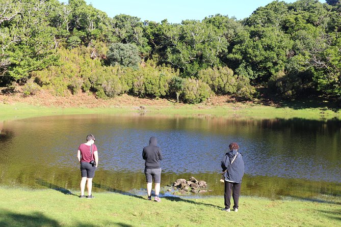 Volcanic Pools and Northwest 4WD Full Day Tour - Fanal: a stop that gives you a breather