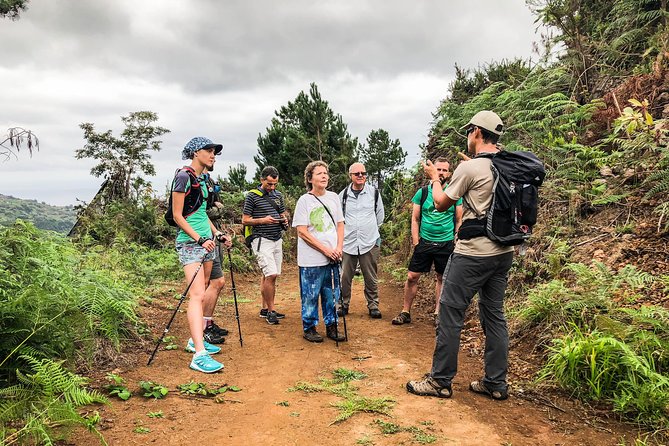 Walk with a local - A small-group Madeira walk that feels human-sized