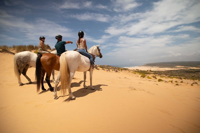 Welcome to Carrapateira Horse Riding Tour - Key Things I’d Watch For Before You Go