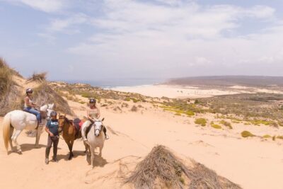 Welcome to Carrapateira Horse Riding Tour - Horses and Photos: Why This Ride Feels Safe and Personal