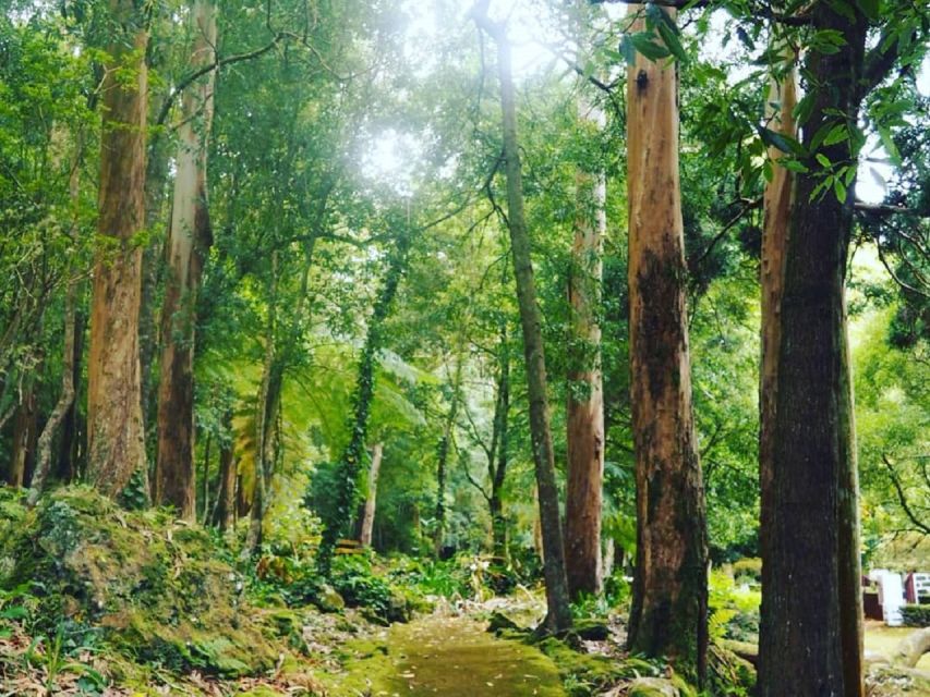 West Coast Van Tour (Half Day) | Terceira Island - Key things I’d bet on (before you book)