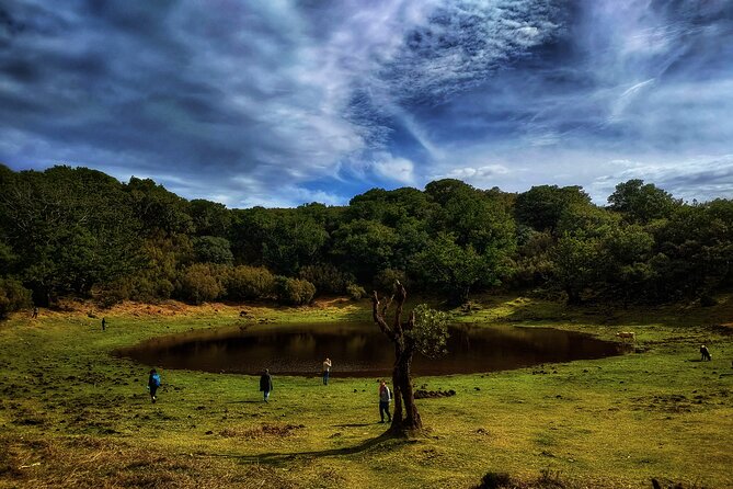 West Madeira Island Guided Tour & Fanal Mystic Forest - West and North Madeira in a Tight 7-Hour Loop