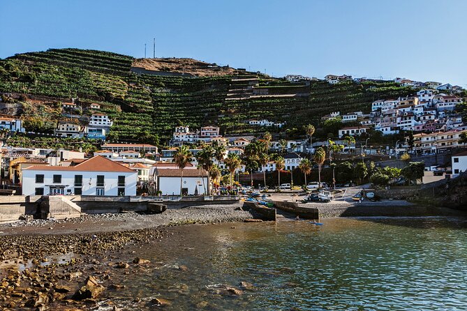 West Madeira Island Guided Tour & Fanal Mystic Forest - Câmara de Lobos: Fishing Harbor Charm and Poncha Time