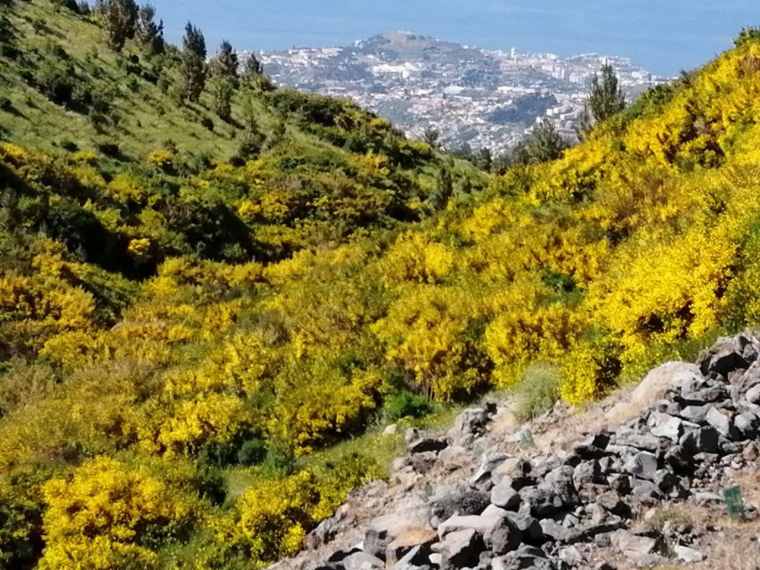 West Madeira:, Laurel Forest, Waterfall, Rock Pools, Walk - São Vicente waterfront and optional Madeira wine tasting