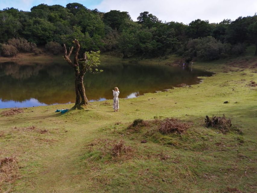 West Madeira:, Laurel Forest, Waterfall, Rock Pools, Walk - A full day of West Madeira, built around viewpoints