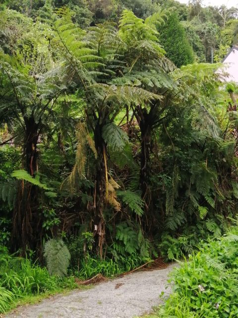 West Madeira:, Laurel Forest, Waterfall, Rock Pools, Walk - Cabo Girão’s glass skywalk: the moment you’ll remember