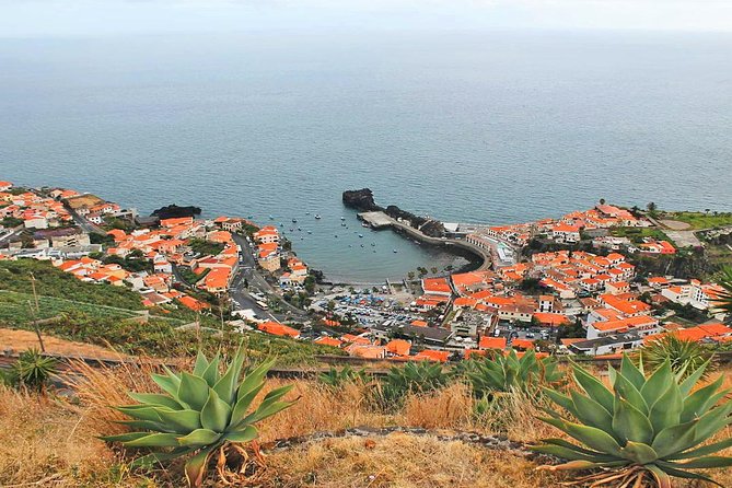 West Tour-Fanal Forest & Porto Moniz Natural Pools Small Groups - A 7-Hour West Madeira Circuit That Feels Like More Than a Checklist