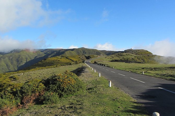 West Tour-Fanal Forest & Porto Moniz Natural Pools Small Groups - Your Guide: Why Dino and Other Hosts Keep the Day Moving