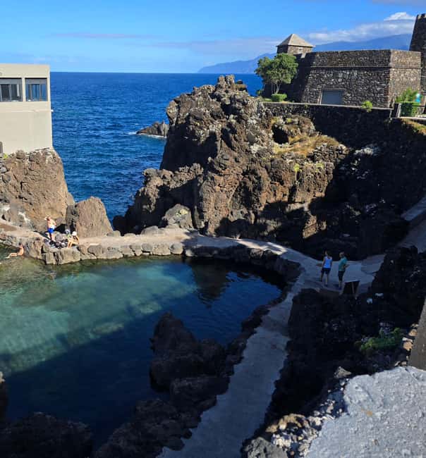 West Tour Madeira – Jeep tour through Fanal, Seixal, Porto Moniz and more - Fanal Forest (UNESCO): When the Laurisilva Feels Like Another Planet