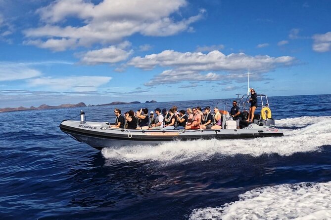 Whale and Dolphin Watching Tour from Funchal - How the land-and-sea search method boosts your odds