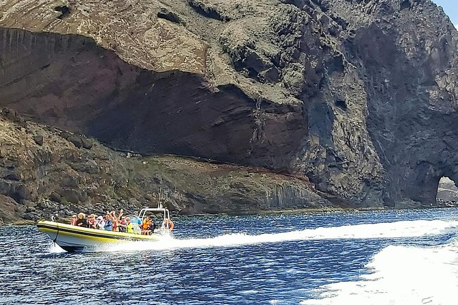Whale & Dolphin Watching in Madeira - Price and Value: Is $59.89 Worth Two Hours on the Water?