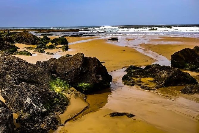 Wild and Wonderful West Coast Full Day Tour - Praia da Amoreira: where a small river meets the ocean