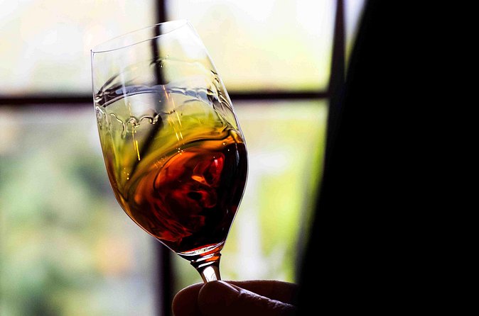Wine and Scenic Beauty in Douro Valley - Timing that works: a 9-hour loop that balances views, wine, and time to breathe