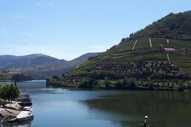 Wine experience with a sommelier - Second premium tasting at another Douro boutique farm