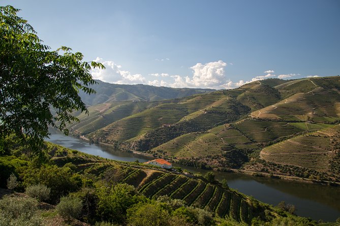 Wine experience with a sommelier - Price and value: what you’re paying for at $416.35