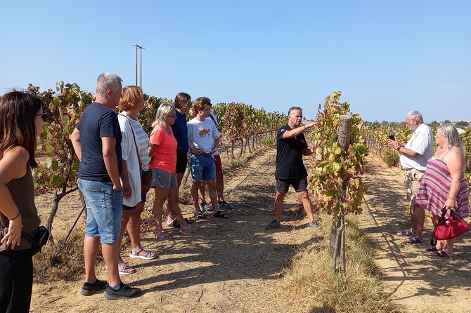 Wine Lovers: Winery Tour w/ Tasting & Tapas (Albufeira/Vilamoura) - Quick hits before you go