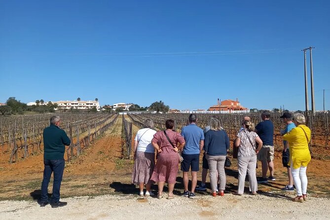 Wine Lovers: Winery Tour w/ Tasting & Tapas (Albufeira/Vilamoura) - The drive and views: off-road tracks and Albufeira viewpoints