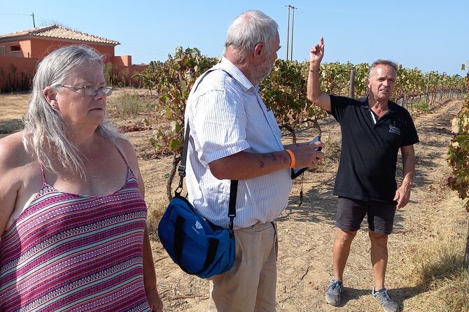 Wine Lovers: Winery Tour w/ Tasting & Tapas (Albufeira/Vilamoura) - The winery stop: four wines and the grape-to-bottle story