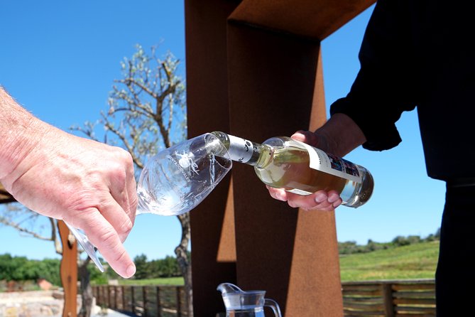 Wine Tasting and Art Tour - Key things to know before you go