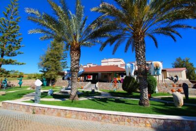 Wine Tasting and Art Tour - The 90-minute plan: what happens during the tour