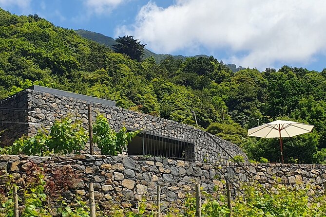 Wine Tasting Experience in Boaventura, Madeira North Coast - Vineyards and boutique winery: you learn the production process